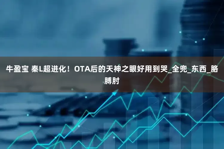牛盈宝 秦L超进化！OTA后的天神之眼好用到哭_全兜_东西_胳膊肘