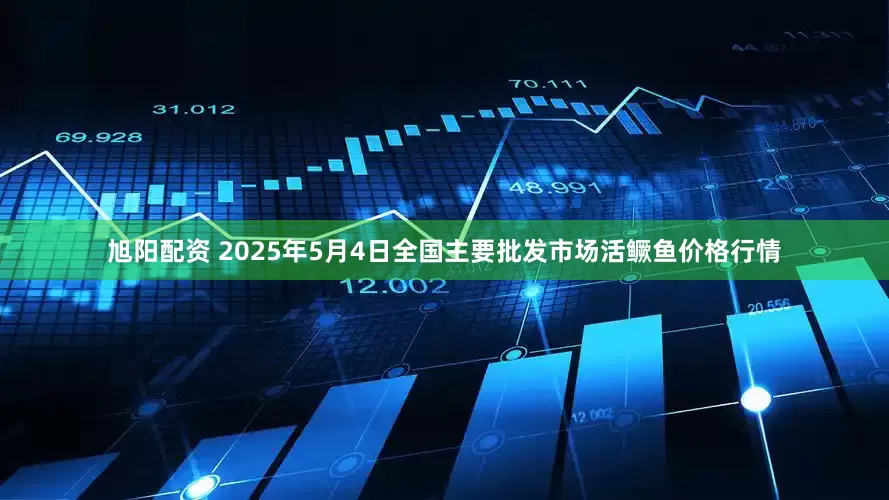 旭阳配资 2025年5月4日全国主要批发市场活鳜鱼价格行情